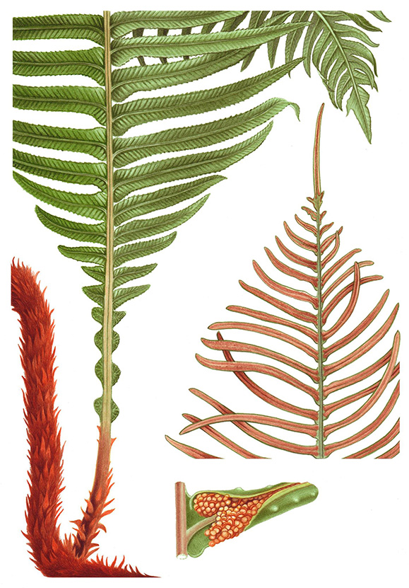 fig 13